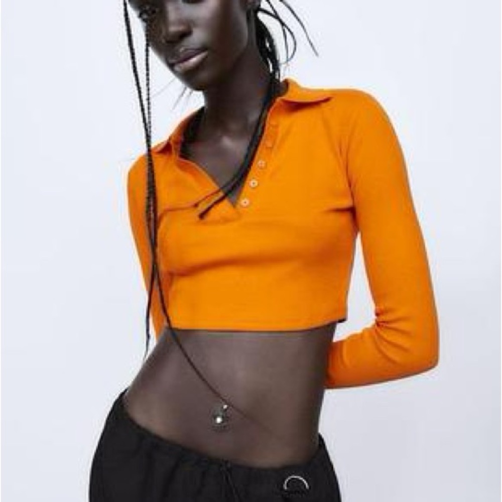 Zara Long Sleeve Crop Top